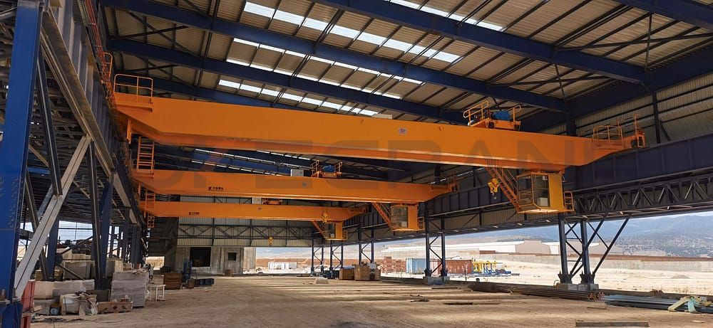 Installazioni gru a ponte utilizzate per l'industria siderurgica
